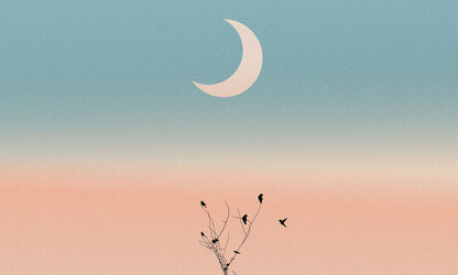 Serene Twilight Birds Silhouette Mural Wallpaper