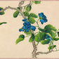 Climbing Blue Flowers Custom Wall Mural