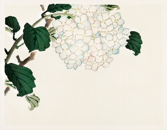 Hydrangea Flower Pattern Mural Design