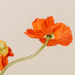 Plain Orange Wallpaper with Poppy Flowers and a Mural