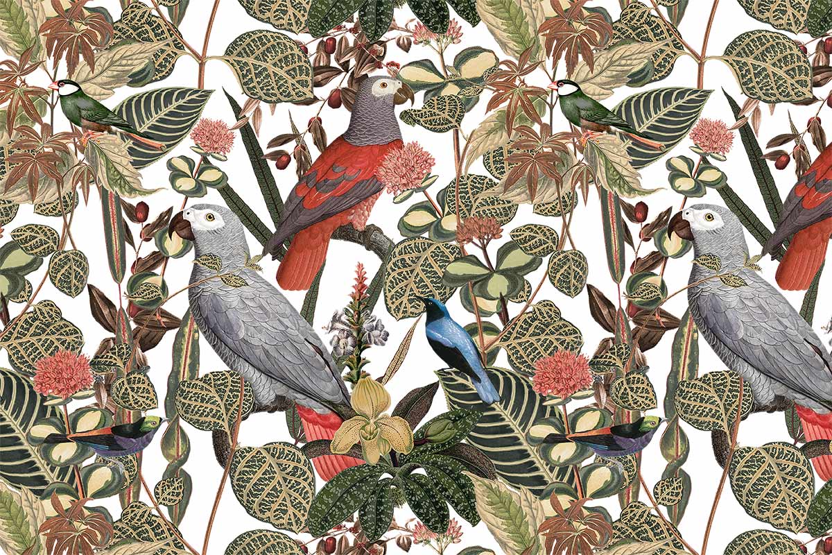 Tropical Parrot Botanical Wallpaper Mural