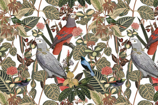 Plain Animal Wallpaper Depiction of a Jungle Bird Perched on Branches