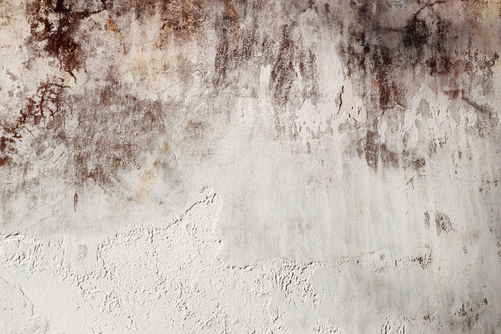 Rustic Concrete Textured Wallpaper