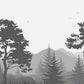Home Decoration Wallpaper Mural of a Misty Forest and Mountain Scenery