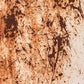 Dilapidated Rust Wallpaper Mural