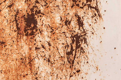 Abstract Rust Speckled Mural Wallpaper