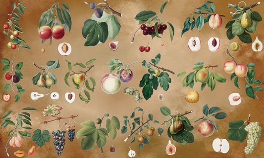 Vintage Botanical Fruit Garden Mural Wallpaper