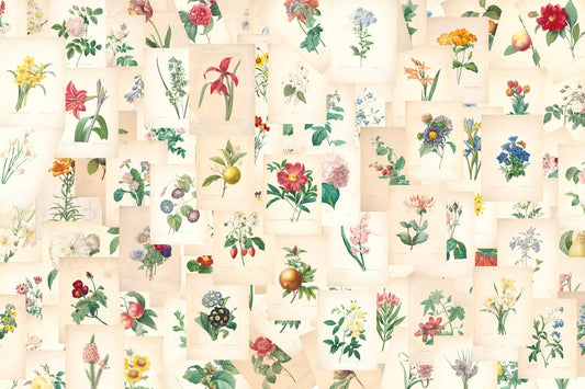 Antique Botanical Illustrations Collage Wallpaper Mural