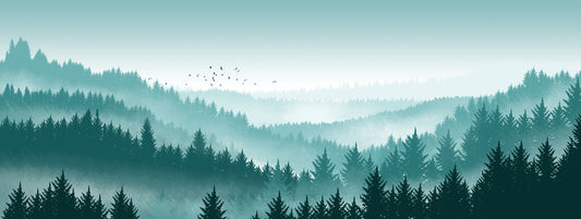 Green Pine Silhouette Forest Wallpaper Design