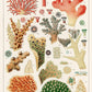 Coral World Painting Custom Wallpaper Mural