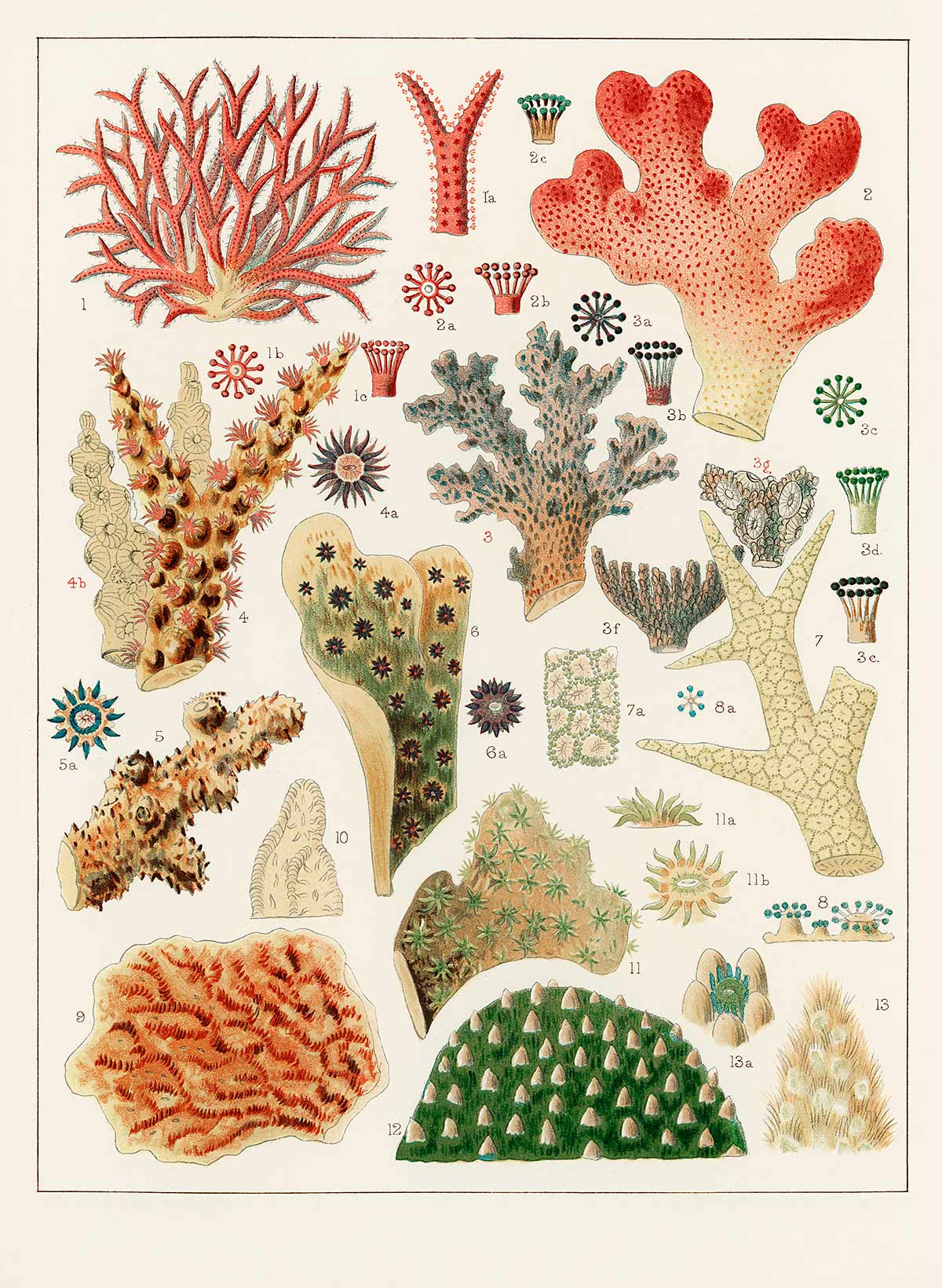 Coral World Painting Custom Wallpaper Mural