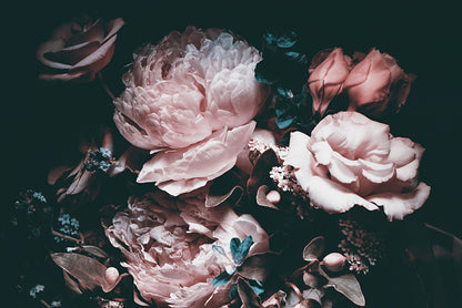 Moody Floral Designer Wallpaper Accent