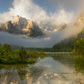 Misty Mountain Green Forest Wallpaper Home Decor