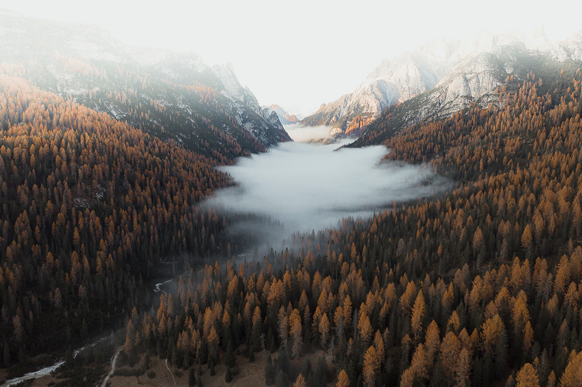 Plain Wallpaper with a Scene of the Dolomites Forest and Mountains