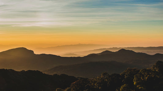 Plain Sunshine Mountain Wallpaper with a Mountain Mural