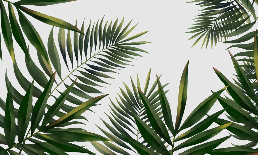 Tropical Palm Leaf Pattern Wallpaper Mural