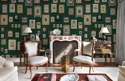 Vintage Entomology Framed Illustrations Mural Wallpaper in living room