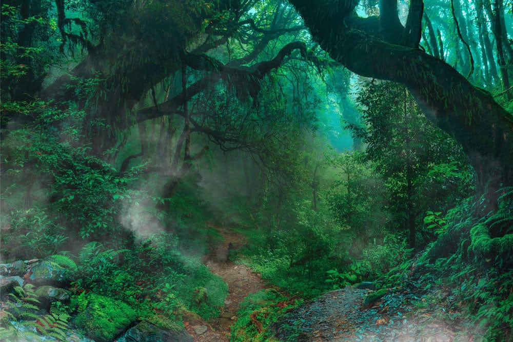 Decorate your home with a mural of a dark green forest