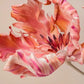 pastel parrot tulip wall mural home interior decoration