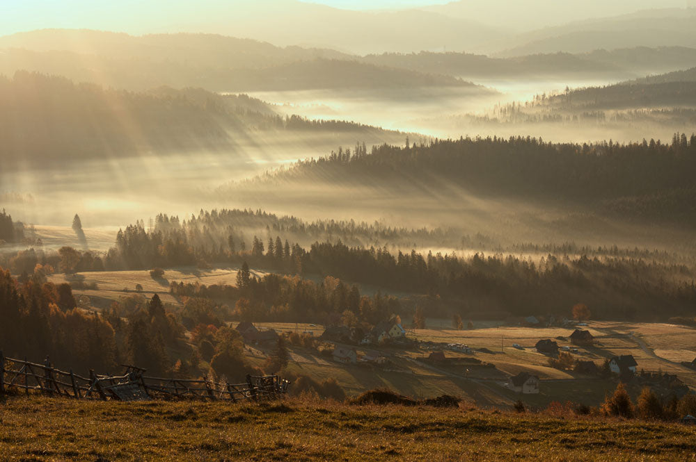 Nebeliger Herbstlandschaft Wandtapete