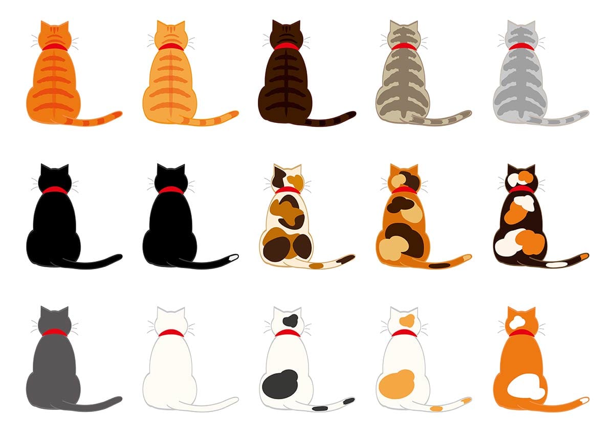 Colorful Assorted Cat Silhouette Mural Wallpaper