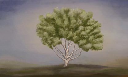 Tranquil Green Tree Landscape Mural Wallpaper