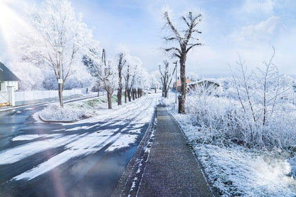Home interior winter wallpaper mural