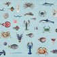 different kind of sea life fish wallpaper