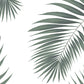 green palm tree leaves and white background wall murals for home