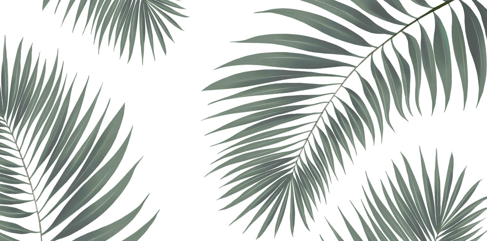 green palm tree leaves and white background wall murals for home