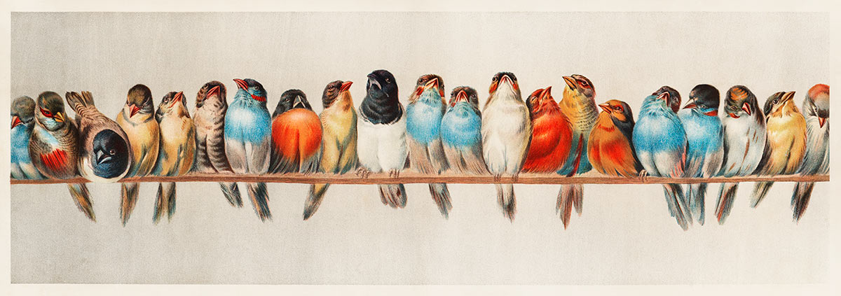 Array of Birds Animal Pattern Wall Mural design