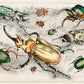 Beetles Game Animal Wall Mural Design