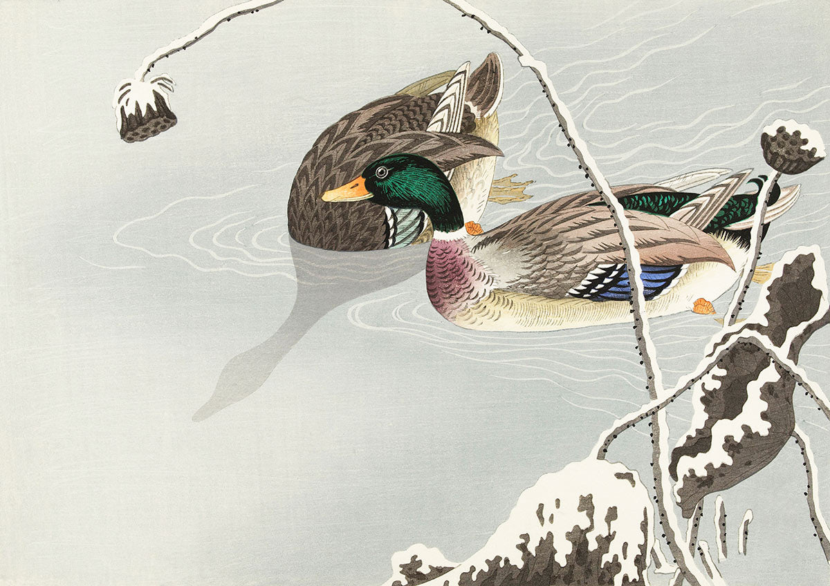 Elegant Duck Pond Scenic Mural Wallpaper