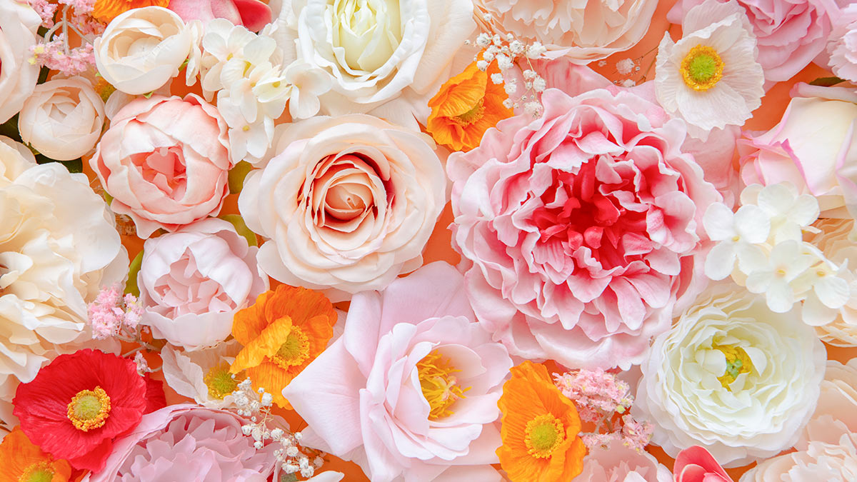 Elegant Pink Floral Bloom Mural Wallpaper