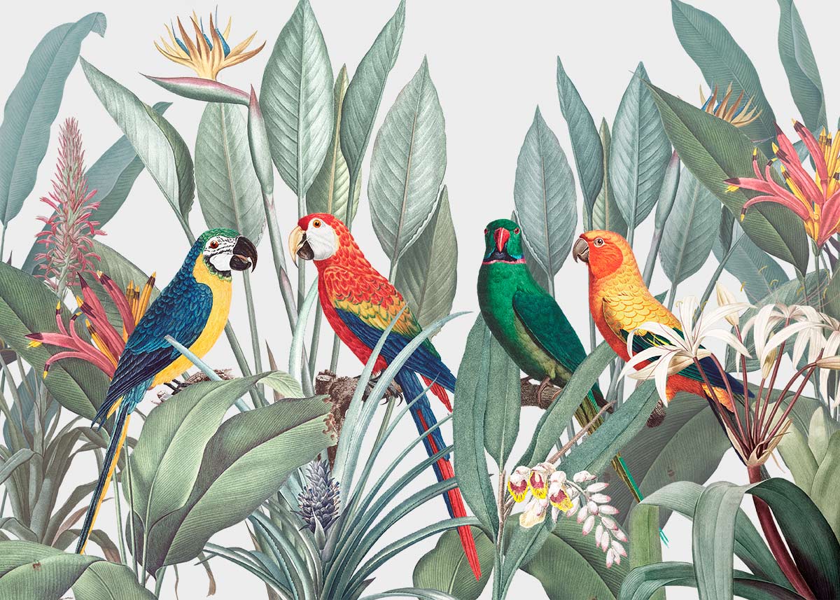 Plain Macaws Wallpaper with Colorful Birds in a Mural