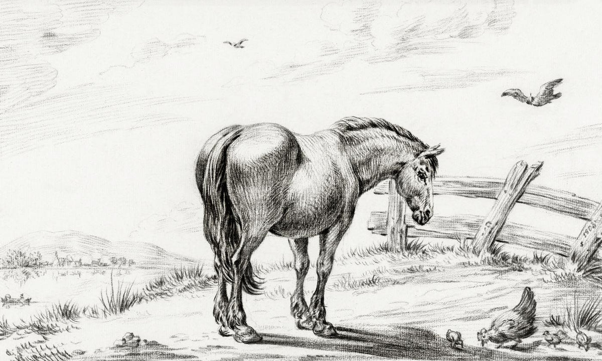 Equestrian Sketch Countryside Mural Wallpaper