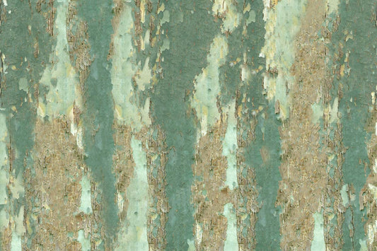 Rustic Teal Birch Tree Mural Wallpaper