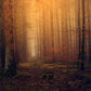 autumn forest landscape wall mural home interior decoration