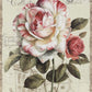 Classic Rose Wallpaper Mural