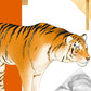 Tiger Animal Print Mural Wallpaper for Use as Home Decoration
