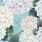 Hydrangea Flower Wall Mural Custom Art Design