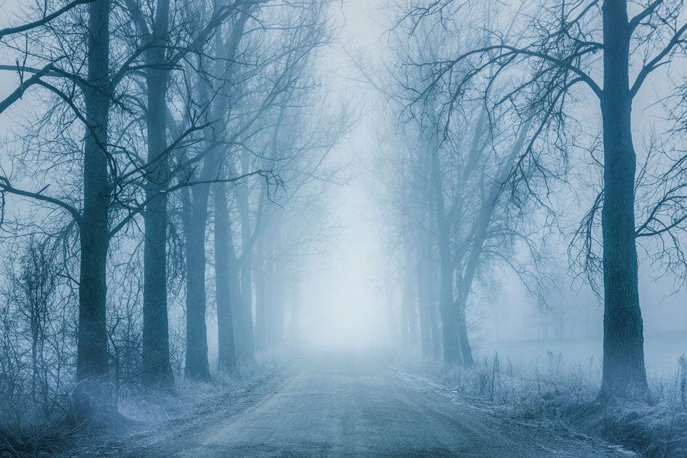Misty Forest Road Blue Mural Wallpaper