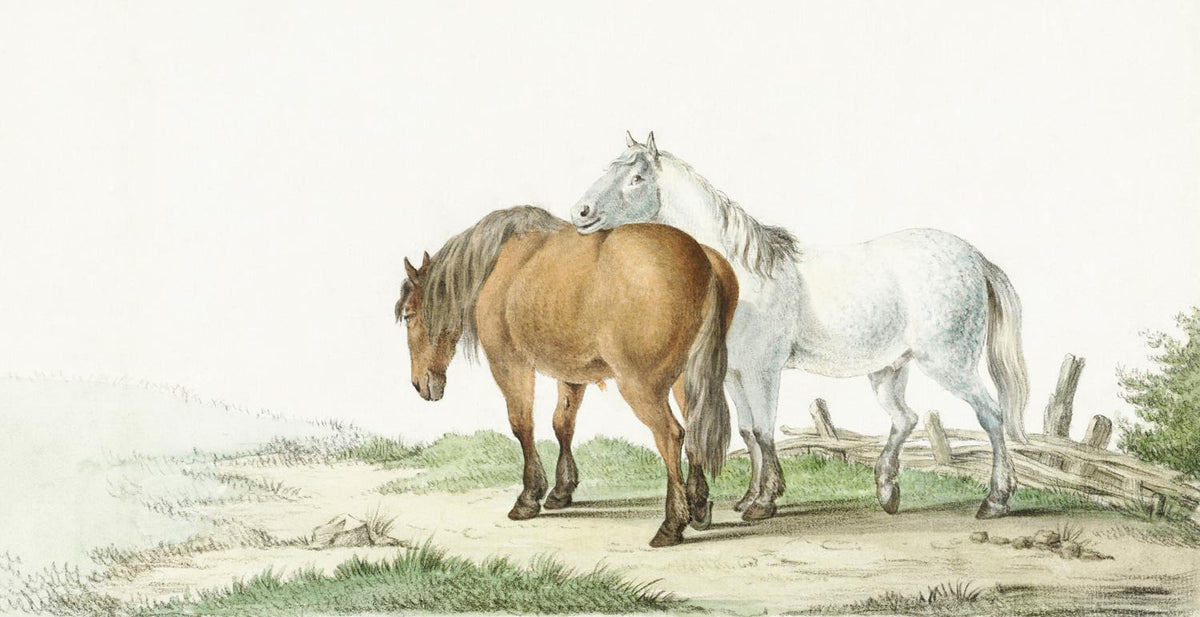 Carta da parati murale con schizzo di cavallo rustico pastorale