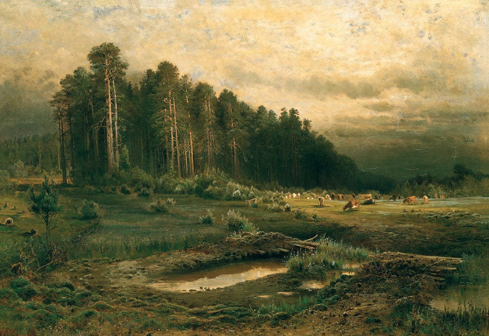 Rustic Landscape Forest Wall Mural