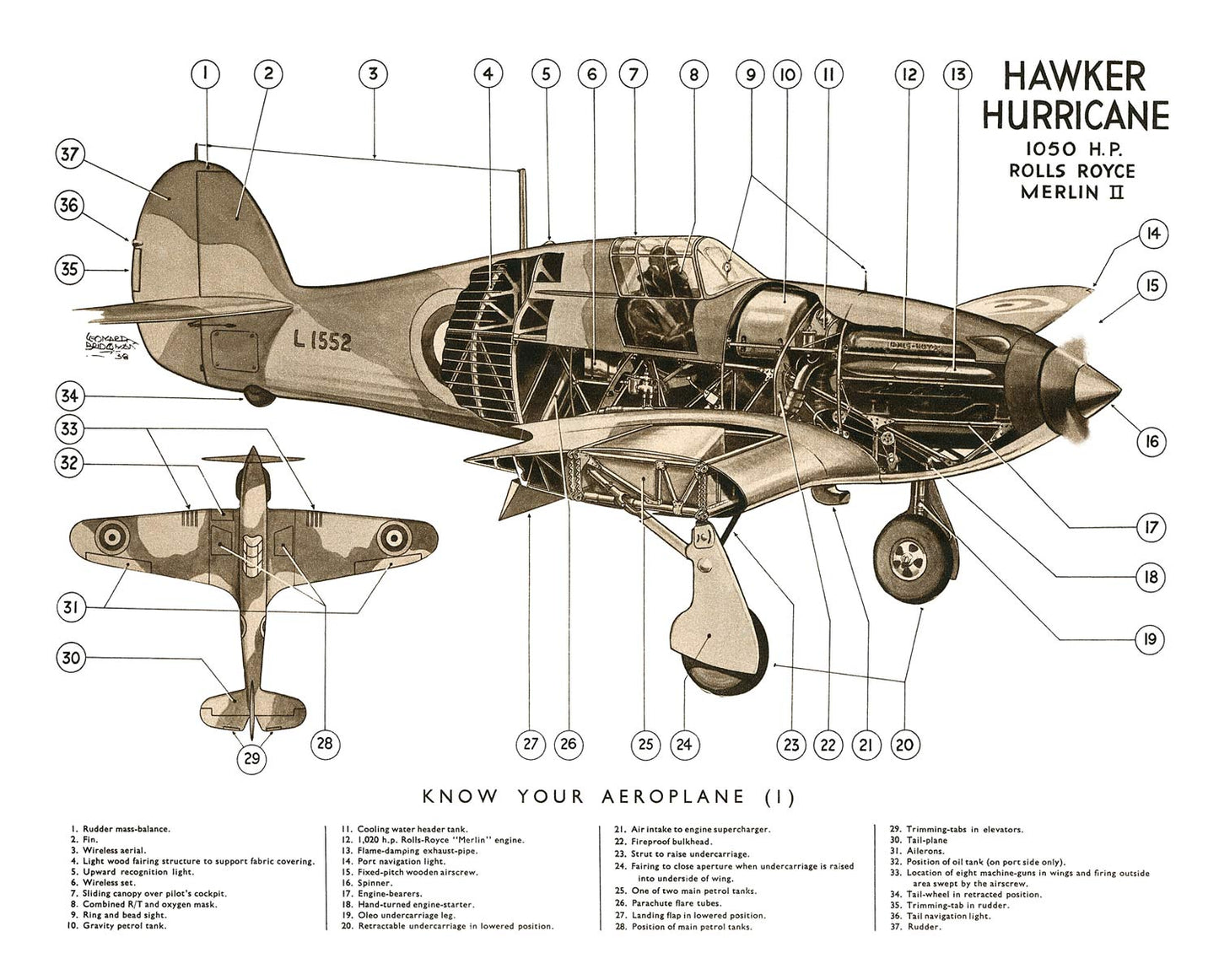 Vintage Airplane Schematic Mural Wallpaper