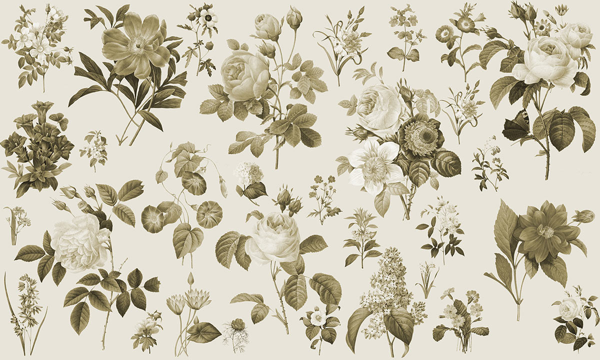 Papier peint botanique floral vintage