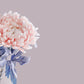 Pink Chrysanthemum Flower Pattern Aesthetic Idea
