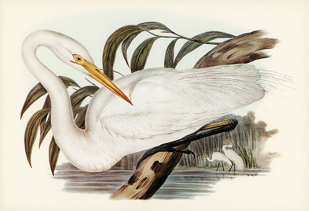 Elegant White Heron Botanical Mural Wallpaper