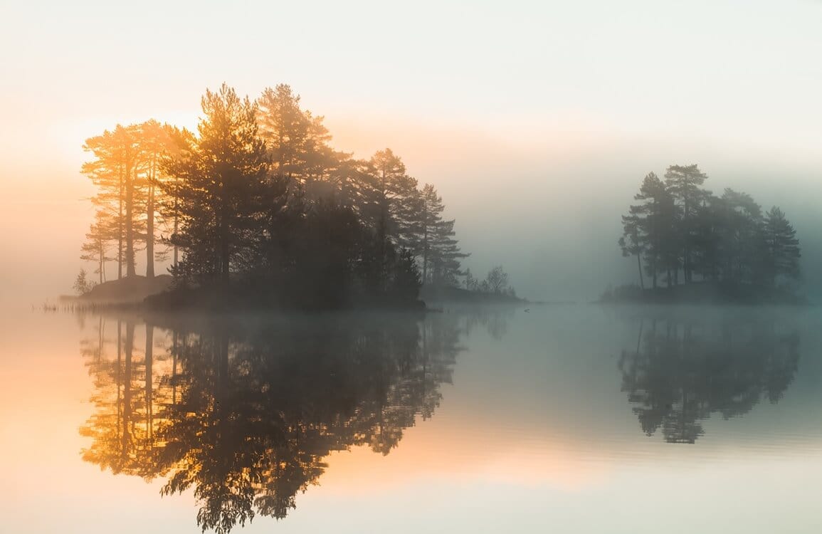 Misty Forest Lake Sunrise Mural Wallpaper