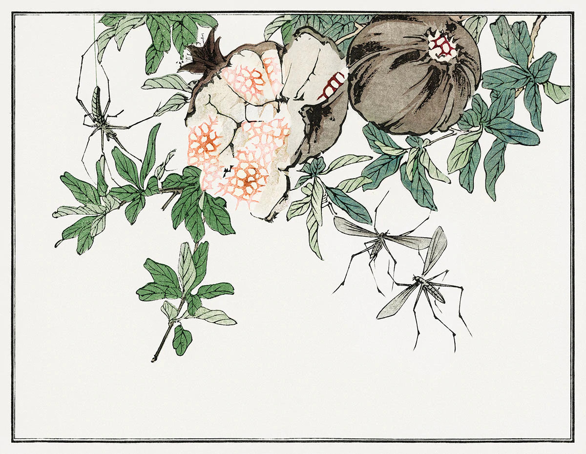 Botanical Pomegranate Vintage Mural Wallpaper